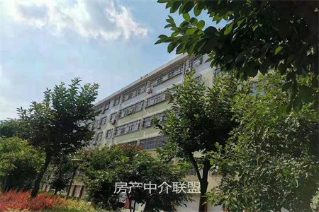 旭景园五楼115平三室毛坯带高阁楼车库109万可按揭包改名